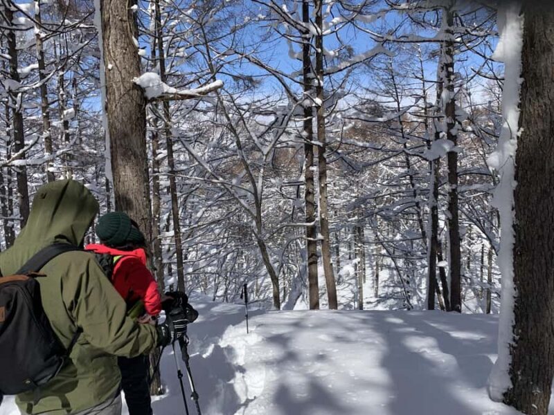 Nagano Iiyama : Snowshoe Hike a half-day, Nozawa, Madarao - Exploring Nagano’s Winter Wonderland: A Detailed Review of the Snowshoe Hike in Nozawa and Madarao