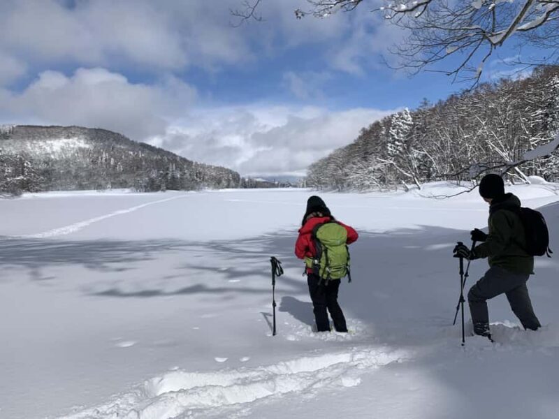 Nagano Iiyama : Snowshoe Hike a half-day, Nozawa, Madarao - The Experience and What You’ll See