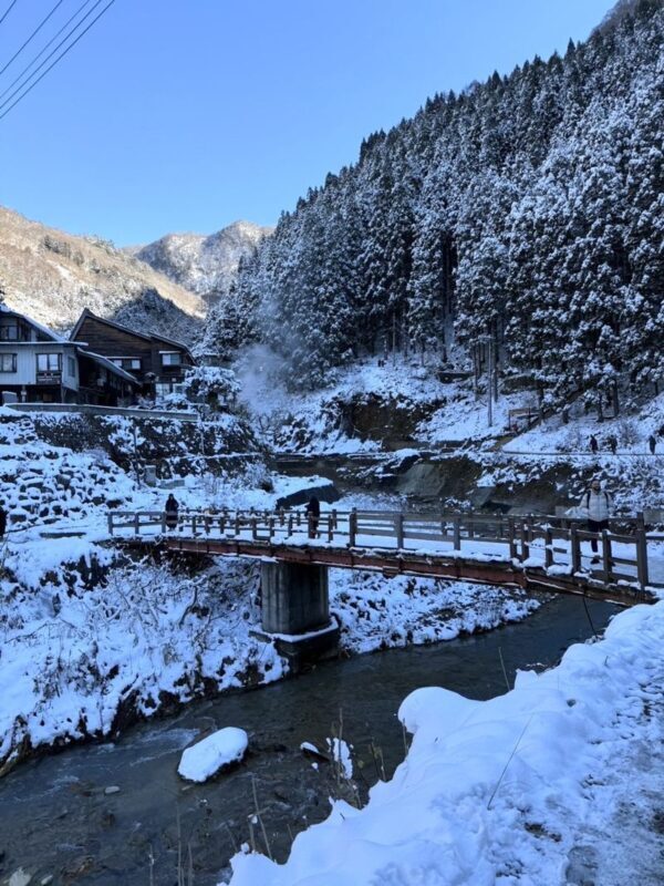 Nagano Jigokudani Monkey Park, Togakushi Shrine, Zenkoji Temple & Sake Culture Experience Day Tour (Departing from Nagano) - What the pace and price mean for you