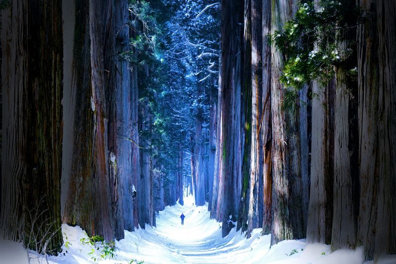Nagano Jigokudani Monkey Park, Togakushi Shrine, Zenkoji Temple & Sake Culture Experience Day Tour (Departing from Nagano) - Who should book this tour