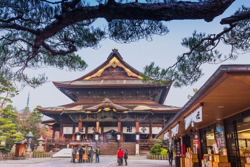 Nagano Jigokudani Monkey Park & Zenkoji Temple Full-Day Private Tour - Should you book this Nagano day trip?