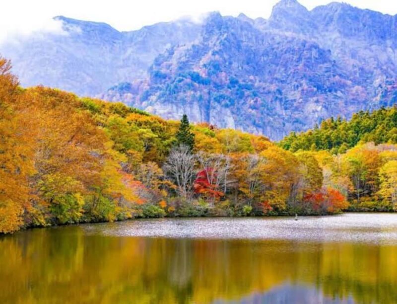 Nagano: Kyoto Private Customizable Tour with Guide - FAQ