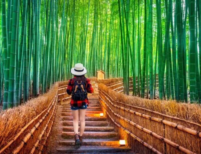 Nagano: Kyoto Private Customizable Tour with Guide - FAQ