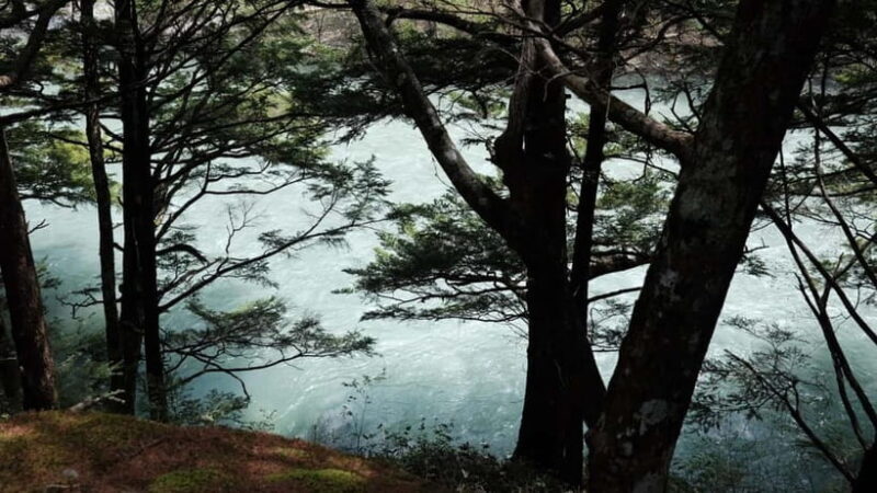 Nagano / Matsumoto / Takayama: Kamikochi Private Tour - Who Is This Tour Best For?