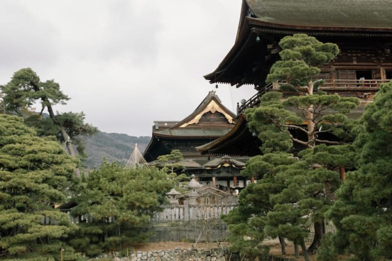 Nagano One Day Private Tour - Who Should Consider This Tour?