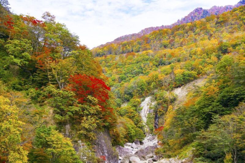 Nagano: Private Walking Tour with a Local - Exploring Nagano in a Whole New Way