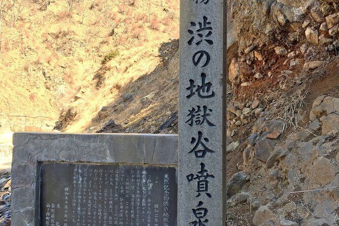 Nagano Snow Monkey and Obuse Tour: English Speaking Driver Only - The Sum Up