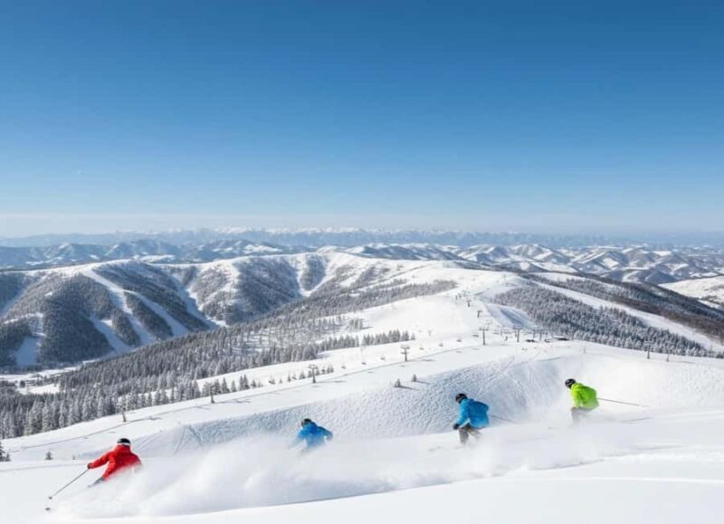 Nagano: Snow Monkey Park and Shiga Kogen Day Trip - Exploring Nagano: Snow Monkey Park and Shiga Kogen