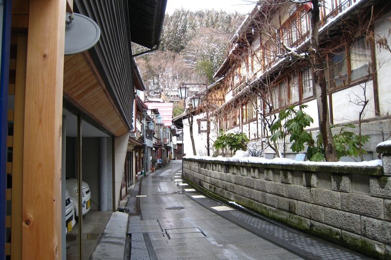 Nagano Snow Monkey Park & Shibu Onsen Cultural Tour - A monkey park visit with more than monkeys