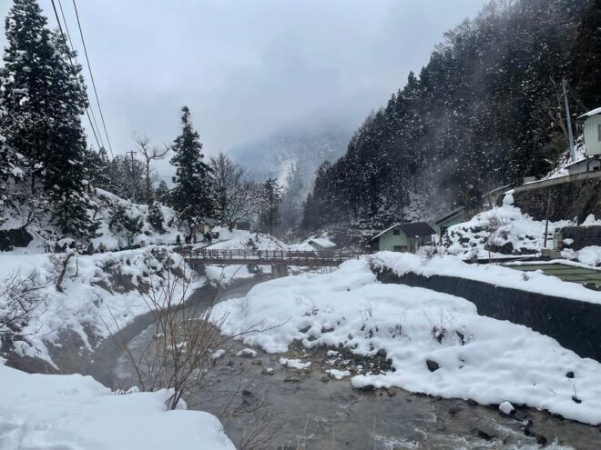 Nagano: Snow Monkey Park, Zenkoji One Day Private Tour - Tips for a Great Experience