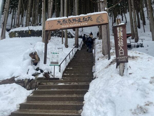 Nagano: Snow Monkey Park, Zenkoji One Day Private Tour - Booking Your Tour