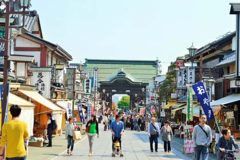 Nagano: Snow Monkey Private Day Tour with Driver from Tokyo - Relaxing in Yudanaka and Shibu Onsen