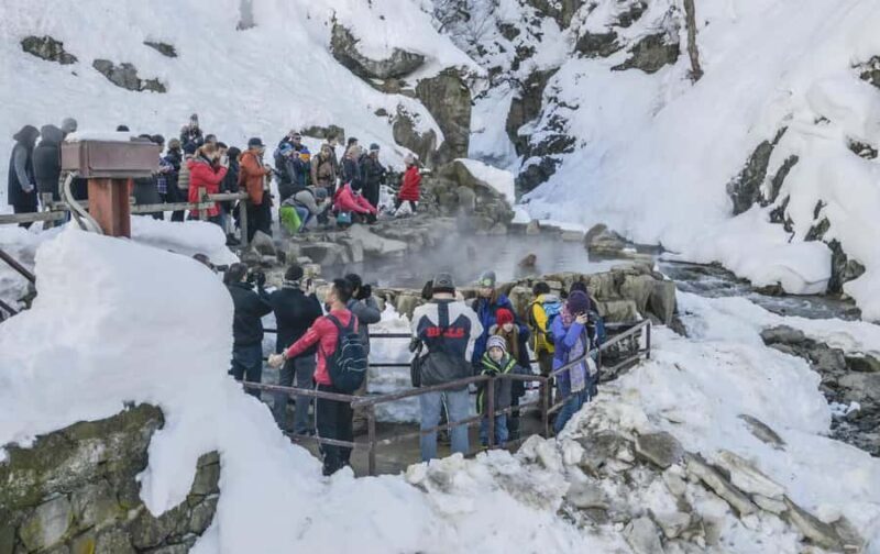 Nagano: Snow Monkey Private Day Tour with Driver from Tokyo - Ending the Day: Return in Comfort