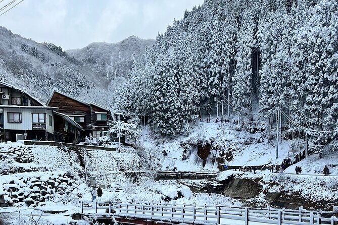 Nagano Snow Monkey Private Full-Day Tour - Exploring Nagano with a Focus on Comfort and Culture