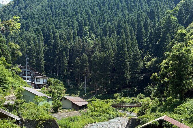 Nagano Snow Monkey Private Full-Day Tour - Practical Details and Tips