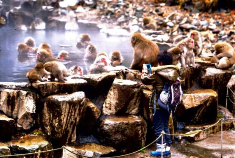 Nagano Snow Monkey & Zenkoji Private Customizable Tour - Duration and Timing