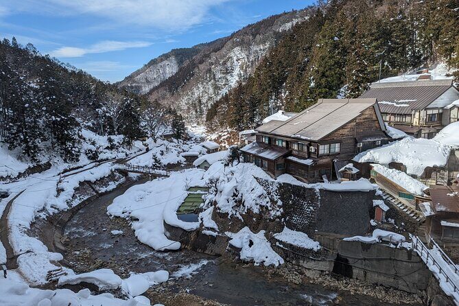 Nagano: Snow Monkeys of Jigokudani Guided Tour - The Sum Up