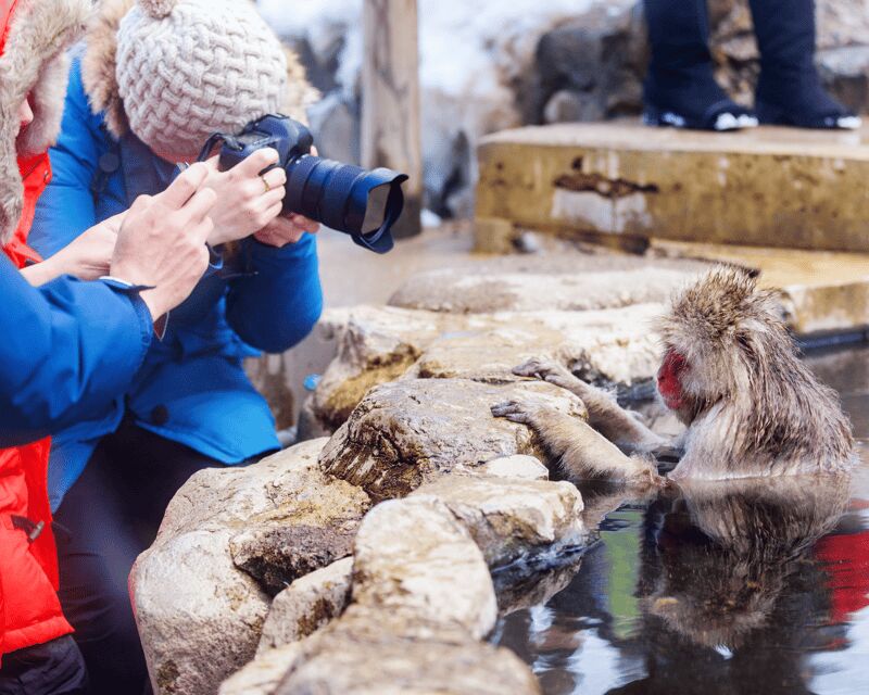 Nagano: Snow Monkeys, Sake Tasting & Zenkoji Private Tour - Good To Know