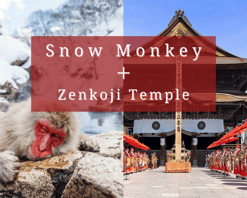 Nagano: Snow Monkeys, Sake Tasting & Zenkoji Private Tour - An Introduction to the Nagano Private Tour