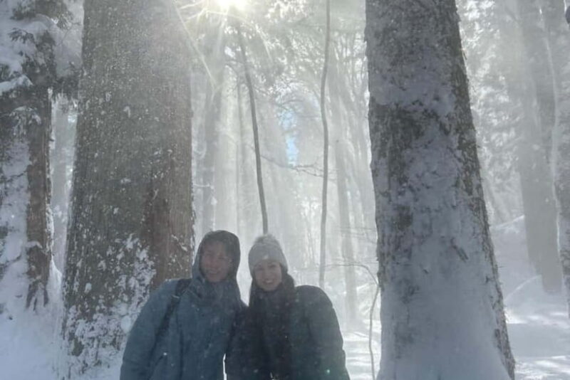 Nagano: Snow Monkeys & Togakushi Shrine Two-Spot in-One Day - Price and Value Analysis