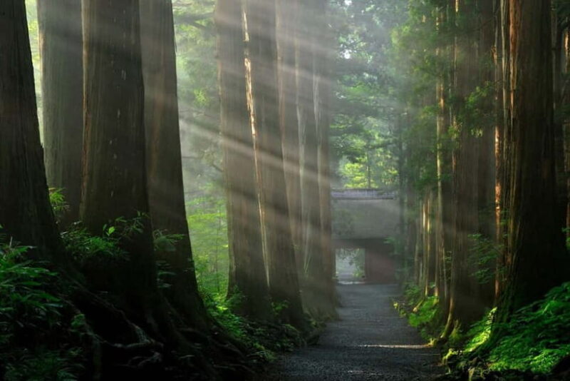 Nagano: Snow Monkeys & Togakushi Shrine Two-Spot in-One Day - Authenticity and Local Insights