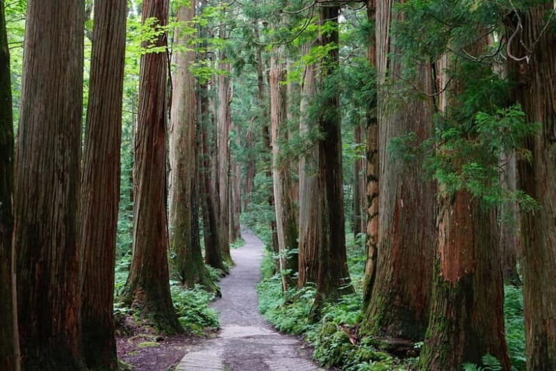 Nagano: Snow Monkeys & Togakushi Shrine Two-Spot in-One Day - Ideal For