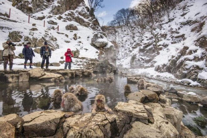 Nagano: Snow Monkeys, Zenkoji Temple - Exploring Zenko-ji Temple