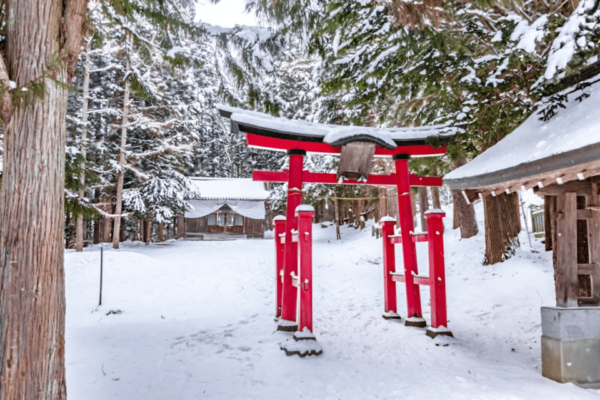 Nagano: Snow Monkeys, Zenkoji Temple - Important Travel Considerations
