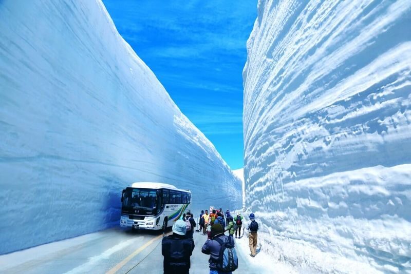 Nagano Snow Wall Alpine Route Guided Tour - The snow walls are the reason to go
