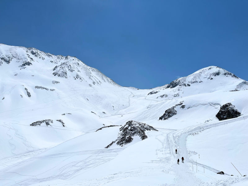 Nagano Snow Wall Alpine Route Guided Tour - The return trip and what can change