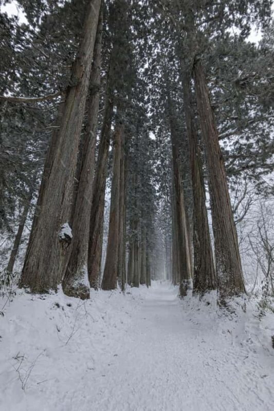 Nagano Snowshoe Adventure with Traditional Kanjiki - An In-Depth Look at the Nagano Kanjiki Snowshoe Experience