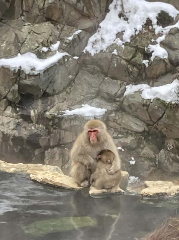 Nagano Snowshoe Adventure with Traditional Kanjiki - Good To Know