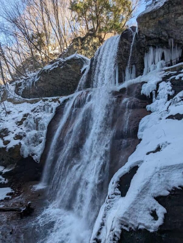 Nagano Snowshoe Adventure with Traditional Kanjiki - Who Would Love This Tour?