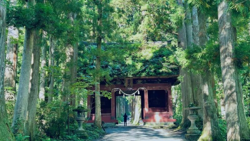 Nagano: Togakushi Shrine & Jigokudani Snow Monkey Park Trip - Who Is This Tour Best For?