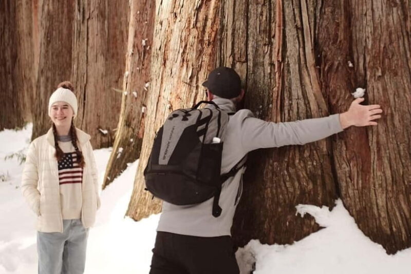 Nagano: Togakushi Shrine, Sake & Zenkoji Private Tour - Exploring Nagano’s Sacred and Cultural Heart