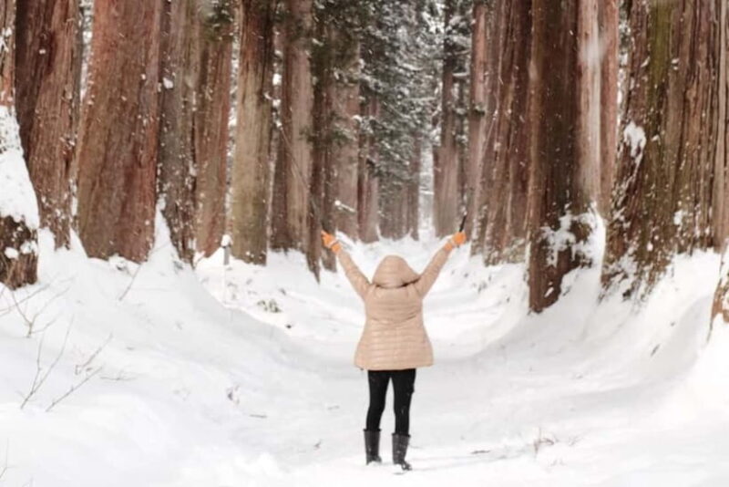 Nagano: Togakushi Shrine, Sake & Zenkoji Private Tour - The Sum Up: Is It Worth It?