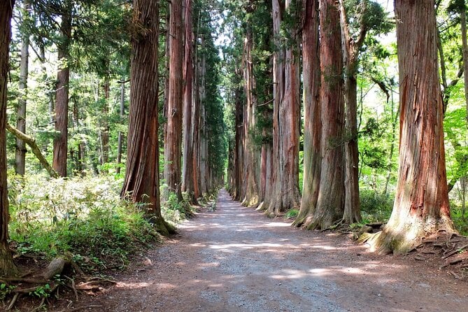 Nagano Togakushi: Soba and Ninja Experience Bus Tour - Minimum Group Size and Cancellation Policy