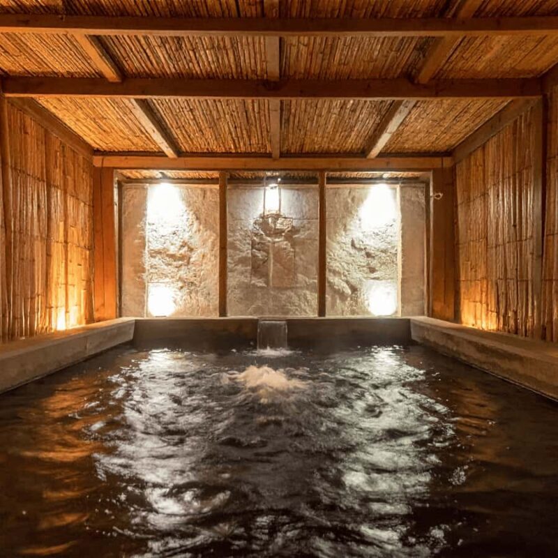 Nagano & Tokyo: Snow Monkey Park Private Tour Customizable - Transportation and Group Size