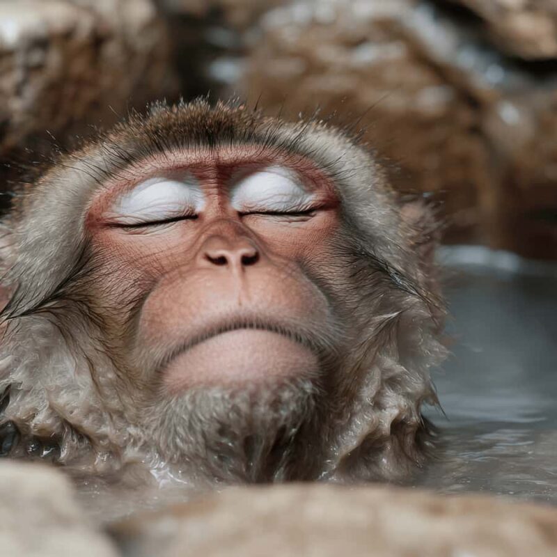 Nagano & Tokyo: Snow Monkey Park Private Tour Customizable - Practical Tips for the Tour