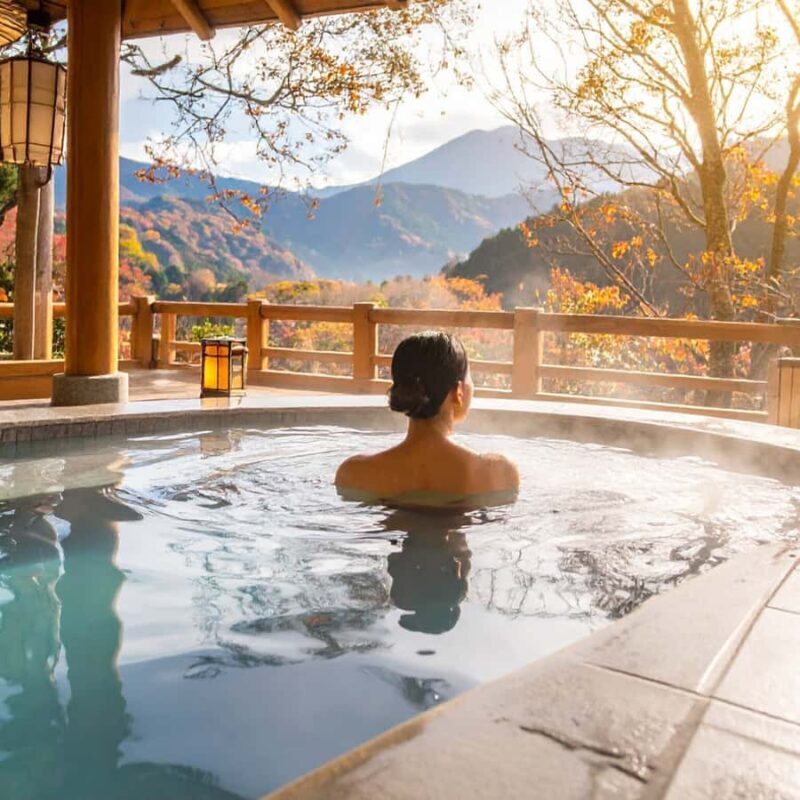 Nagano & Tokyo: Snow Monkey Park Private Tour Customizable - Who Would Love This Tour?