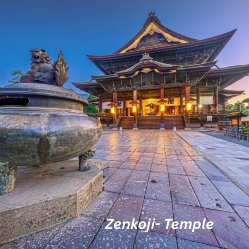 Nagano/Tokyo: Snow Monkey Private Car Tour Hotel Pick & Drop - Who Should Consider This Tour?