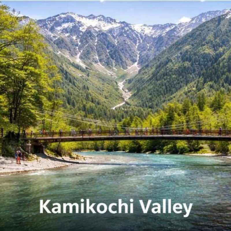 Nagano/Tokyo: Snow Monkey Private Car Tour Hotel Pick & Drop - The Practicalities: What Makes This Tour Stand Out?