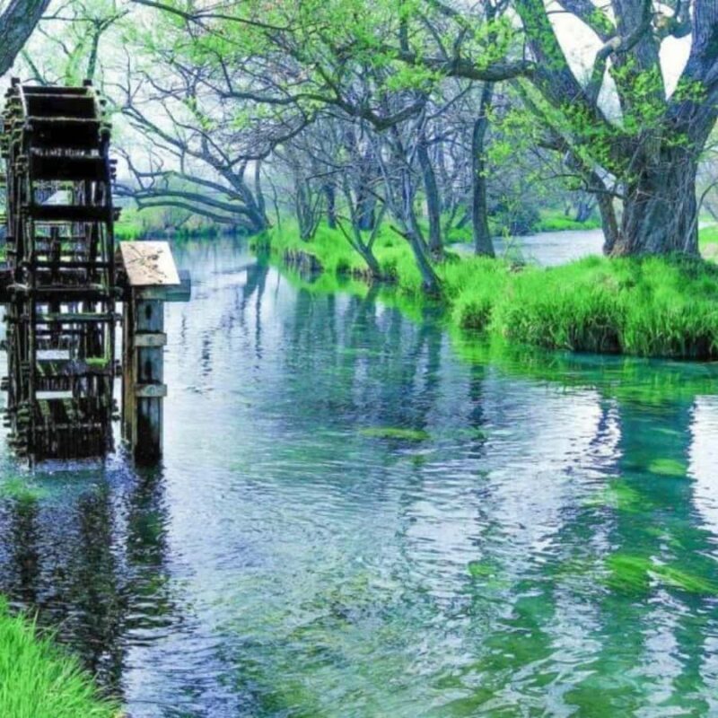 Nagano & Tokyo: Snow Monkey Private Customizable Day Tour - Good To Know