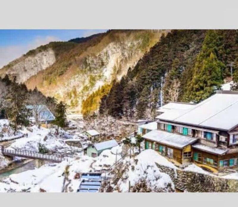 Nagano & Tokyo: Snow Monkey Private Customizable Day Tour - Who Would Love This Tour?