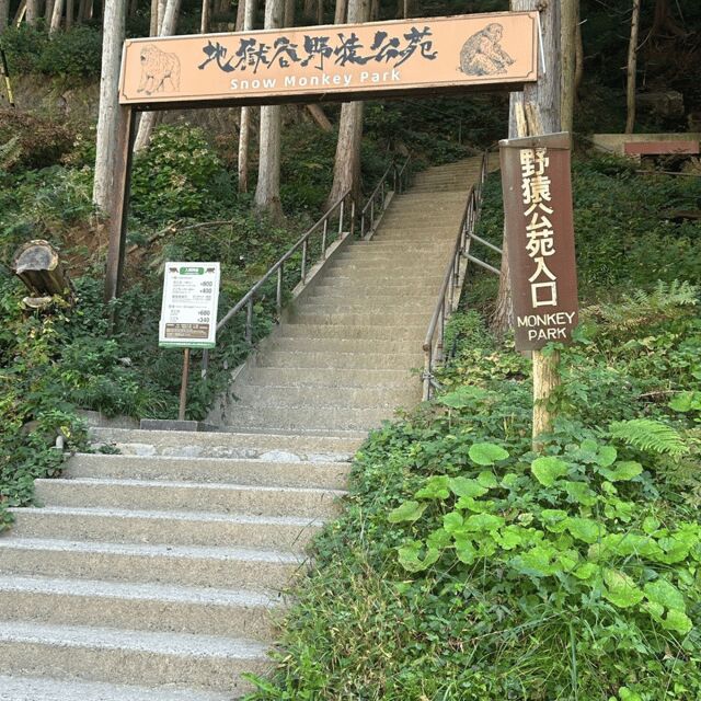 Nagano/Tokyo: Snow Monkey Private Day Tour At Lowest Rate - Why Consider This Tour?