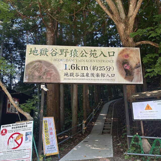 Nagano/Tokyo: Snow Monkey Private Day Tour At Lowest Rate - Transportation and Comfort