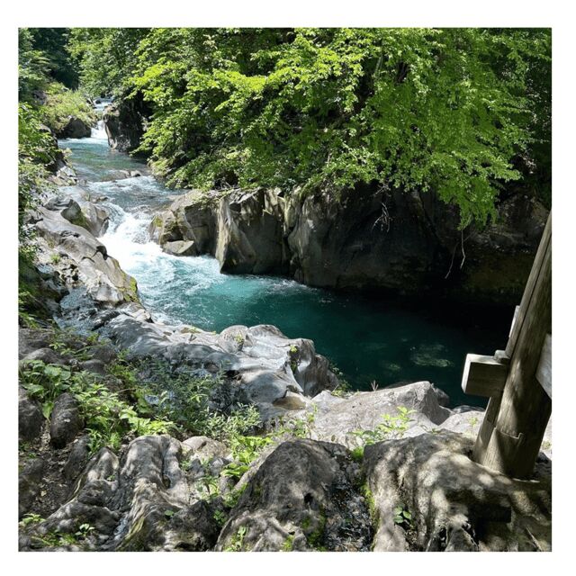 Nagano/Tokyo: Snow Monkey Private Day Tour At Lowest Rate - Analyzing the Value