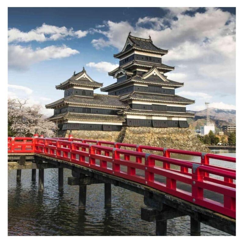 Nagano/Tokyo: Snow Monkey Private Day Tour At Lowest Rate - Final Thoughts