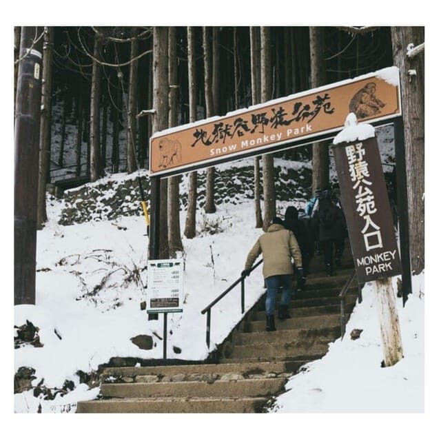 Nagano/Tokyo: Snow Monkey Private Day Tour At Lowest Rate - Good To Know