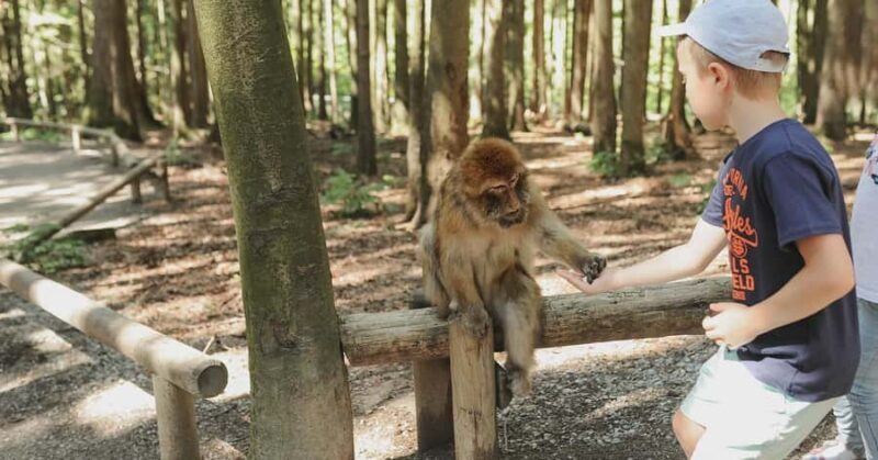 Nagano/ Tokyo: Snow Monkey Private Day Tour Fully Customised - Authentic Experiences and Genuine Reviews